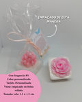 Vela rosita